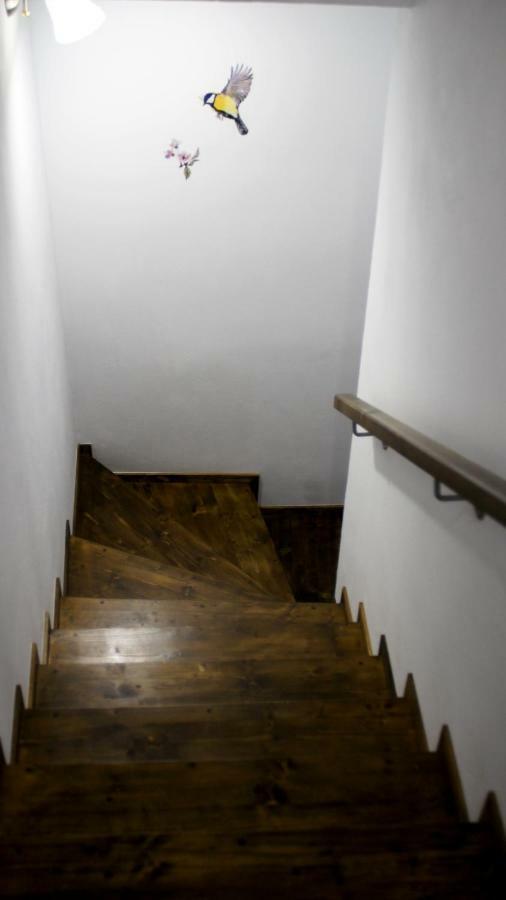 Anemona'S House In The Center Of Sibiuヴィラ エクステリア 写真