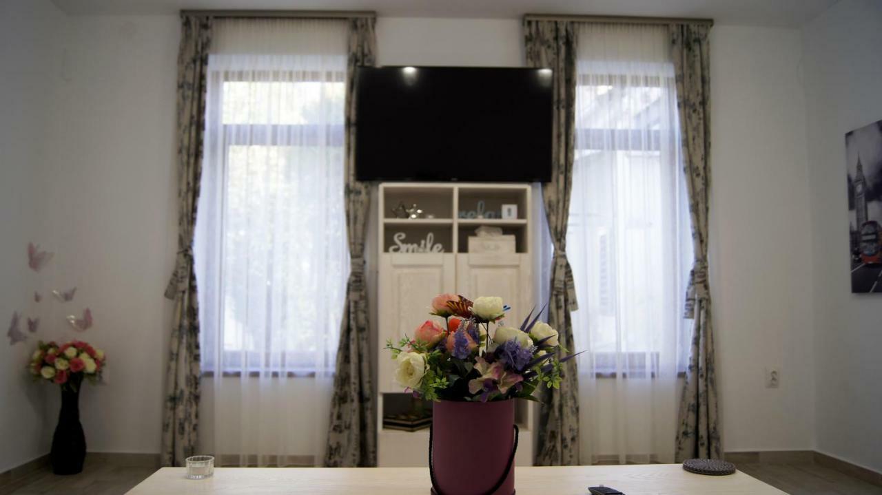 Anemona'S House In The Center Of Sibiuヴィラ エクステリア 写真