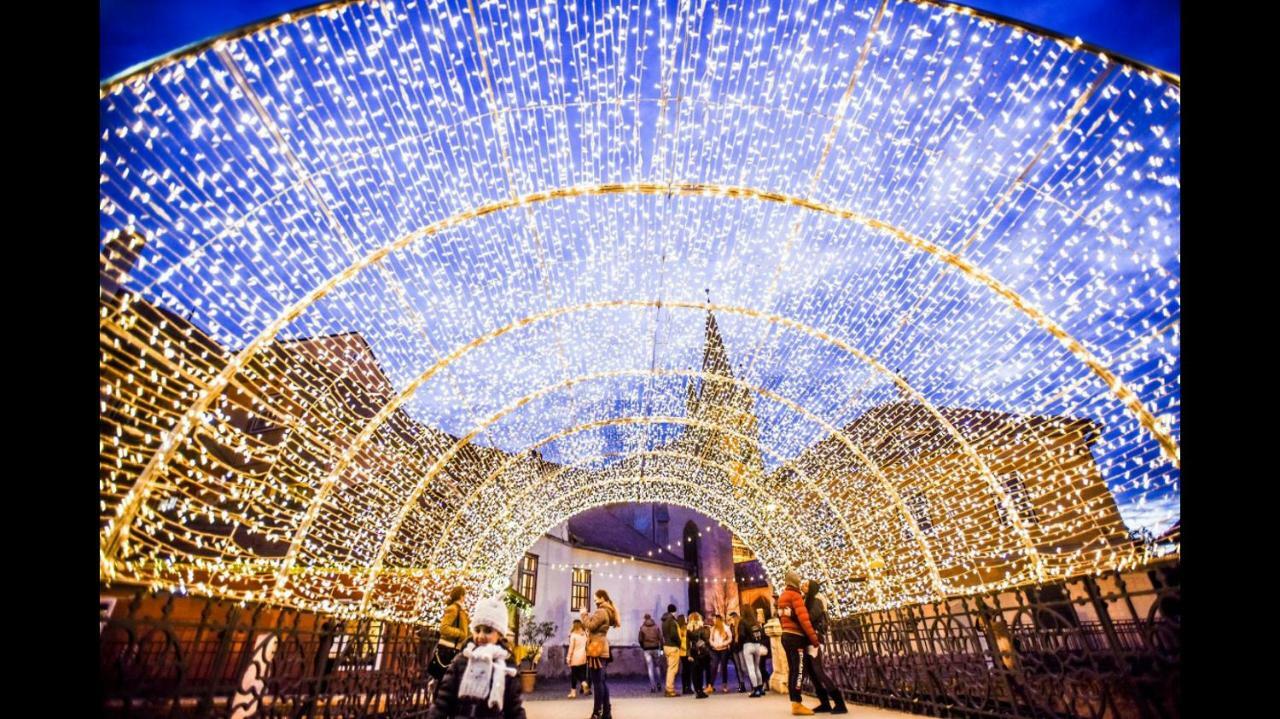 Anemona'S House In The Center Of Sibiuヴィラ エクステリア 写真
